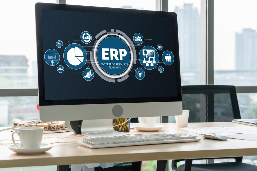 ERP Development & Services